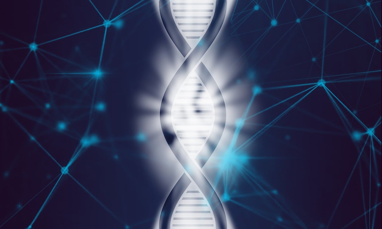 entdecken sie die neuesten medizinischen innovationen, technologien und bahnbrechenden entwicklungen im gesundheitswesen. bleiben sie informiert über fortschritte, die die medizin von morgen prägen.